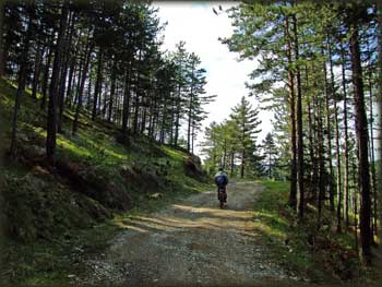 Povratak sa Šargana