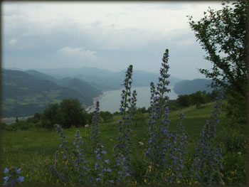 Dunav u proleće
