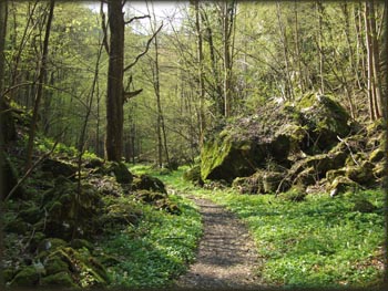 Single trail od Rimskog Bunara ka Rajkovoj pećini