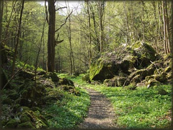 Single trail od Rimskog Bunara ka Rajkovoj peini