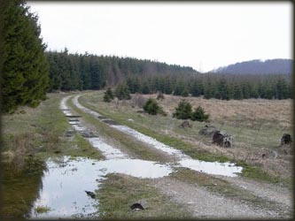 Visoravan Klencuš