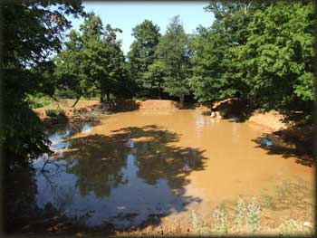 Grobnička bara