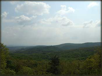 Panorama Fruškogorskih šuma sa Zmajevca; vidi se i Vrdnička kula