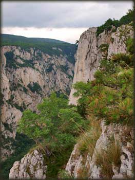 Стене Ковеја