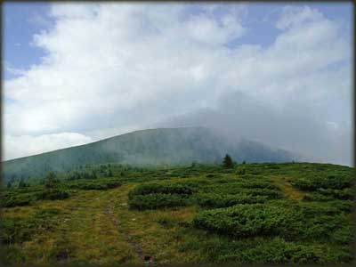 Nadomak Bratkove Strane