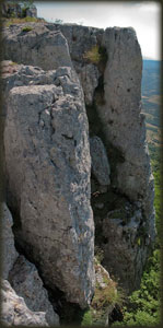 Tupižničke vertikale 1