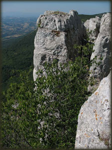 Tupižničke vertikale 2