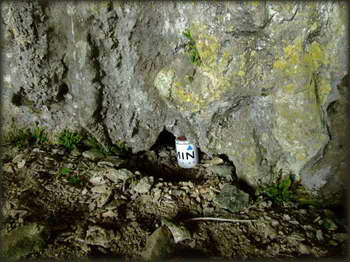Keš u pećini