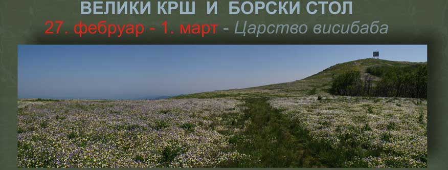 Царство висибаба