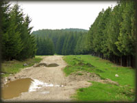 Ka Maloj Brezovici
