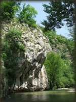 Gradac