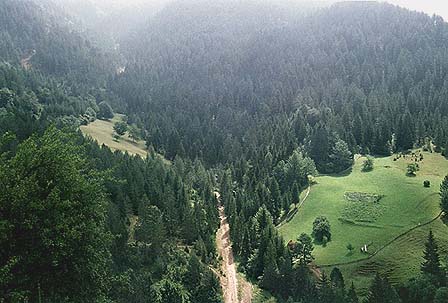 Alpska dolina