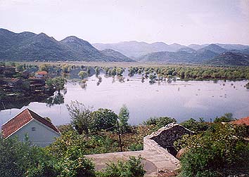 Dodoši
