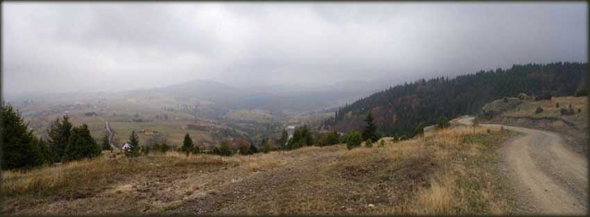 U visinama Golije - nadomak Bzovika