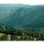 Jeste li videli nekad čuveni most na Đurđevića Tari? 