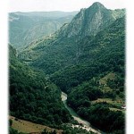 Tara, reka čuvena po splavarenju, teče pod nama