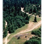 Staza koja se strmoglavljuje niz padine Javora - idealna za downhill MTB trke, zar ne?