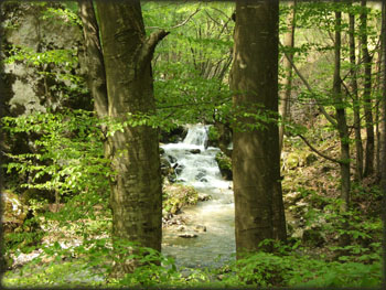 Radovanska reka