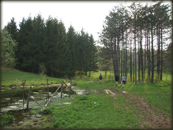 Pored izvora nadomak Javorka (skrenite levo sa puta ka Grzi)