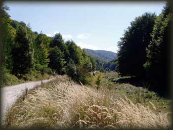Sredinji deo doline Kloanice