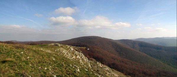 Pogled na Veliku Trestu, najviši vrh Kučaja