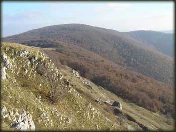 Velika Tresta sa vrha Strae
